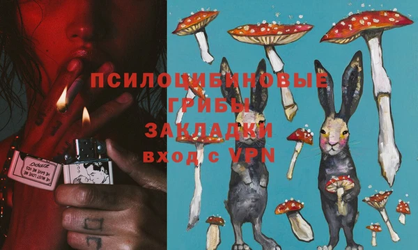 гашик Покровск