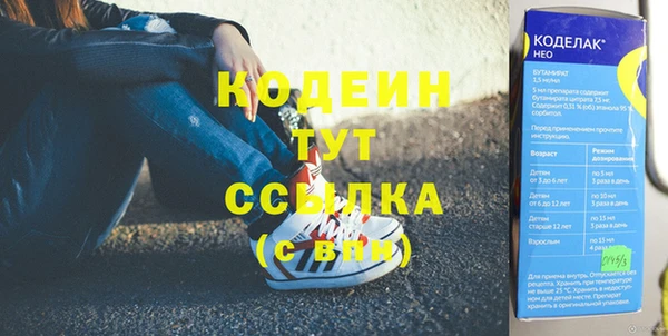 сатива Покачи