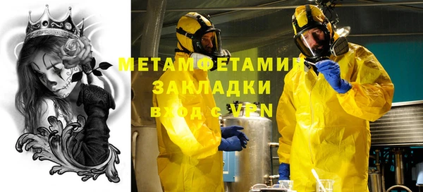 сатива Покачи