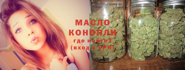 сатива Покачи