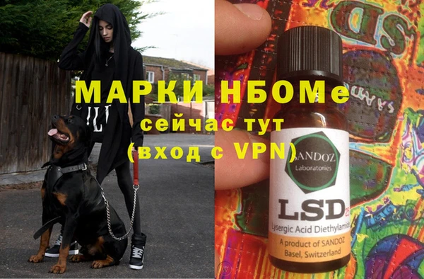 гашик Покровск